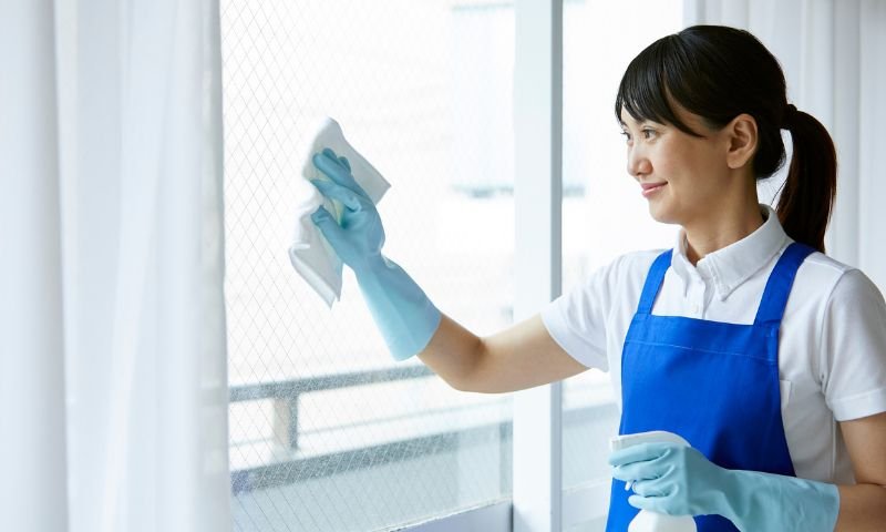 Domestic cleaner needed in NZ